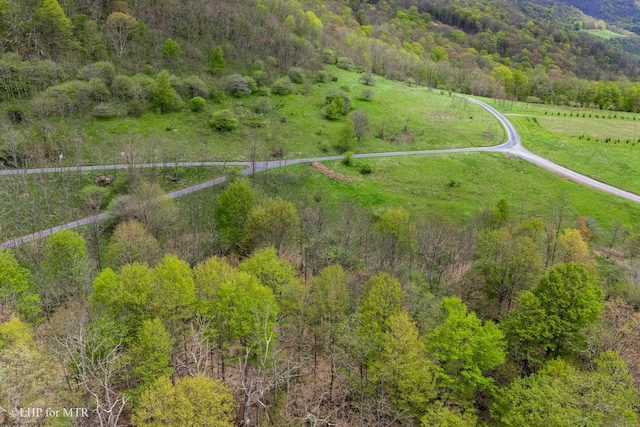 28 Meadows Rd W, Harman, WV 26270