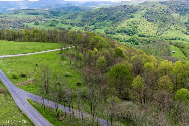 28 Meadows Rd W, Harman, WV 26270