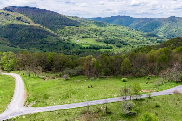 28 Meadows Rd W, Harman, WV 26270