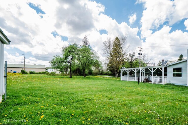 22 N Euclid Ave, Thomas, WV 26292 - view of grassy yard