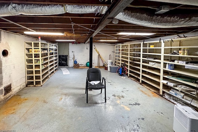 22 N Euclid Ave, Thomas, WV 26292 - view of unfinished below grade area