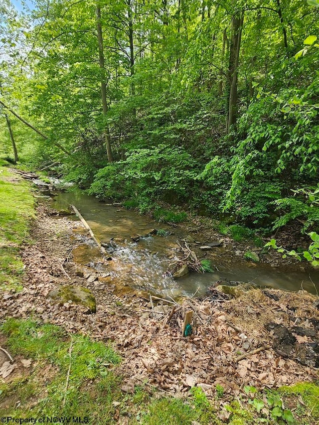 760 Skelton Run, Wallace, WV 26448 - view of undeveloped land