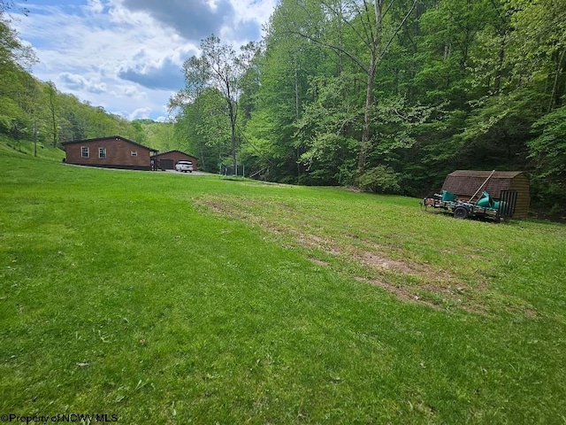 760 Skelton Run, Wallace, WV 26448 - view of green lawn with a forest view, a storage shed, a detached carport, and an outdoor structure