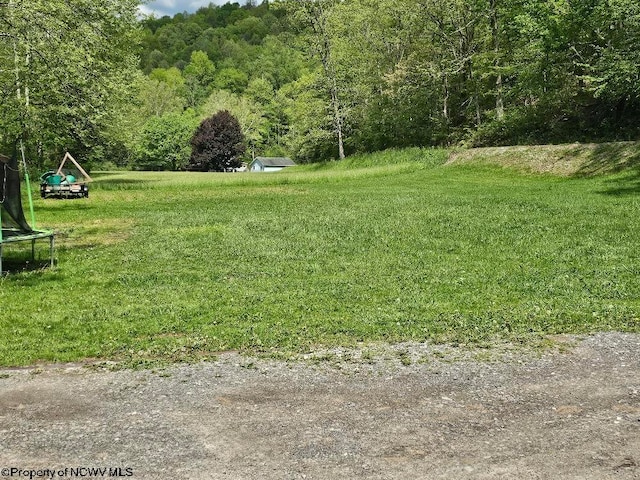 760 Skelton Run, Wallace, WV 26448 - view of grassy yard with a trampoline and a view of trees