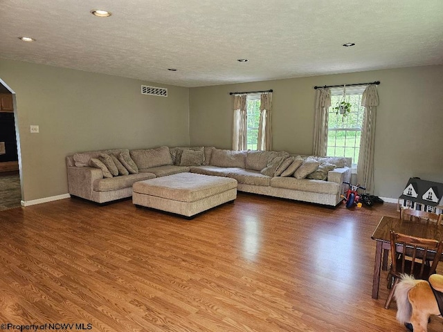 760 Skelton Run, Wallace, WV 26448 - living room with wood finished floors, recessed lighting, a textured ceiling, arched walkways, and baseboards