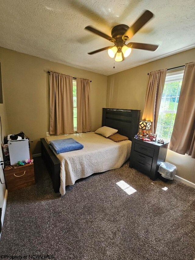 760 Skelton Run, Wallace, WV 26448 - carpeted bedroom featuring a textured ceiling and a ceiling fan
