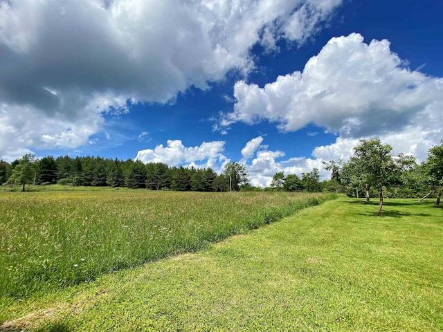 8816 Turkey Bone Rd, Pickens, WV 26230