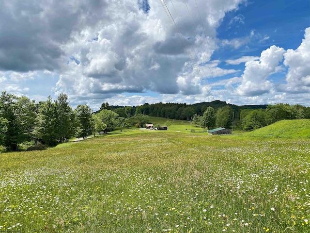 8816 Turkey Bone Rd, Pickens, WV 26230