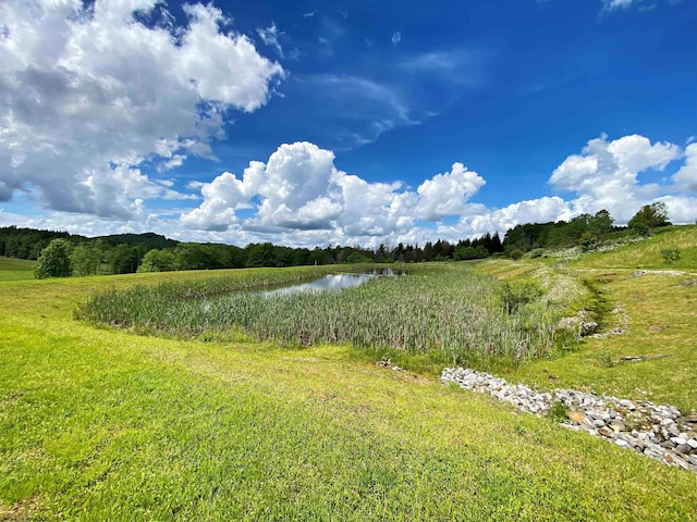 8816 Turkey Bone Rd, Pickens, WV 26230