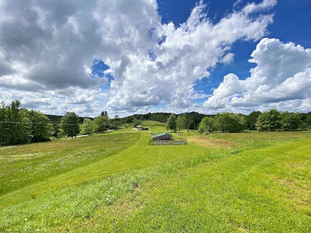 8816 Turkey Bone Rd, Pickens, WV 26230