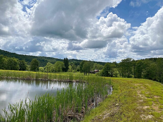 8816 Turkey Bone Rd, Pickens, WV 26230