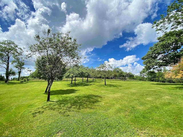 8816 Turkey Bone Rd, Pickens, WV 26230