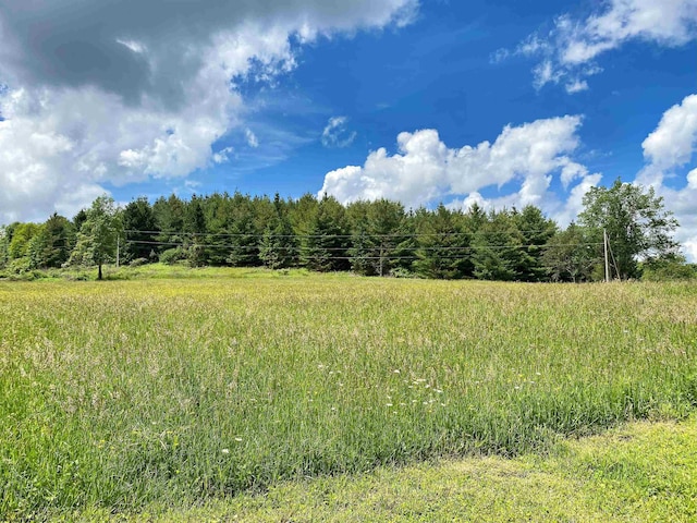 8816 Turkey Bone Rd, Pickens, WV 26230