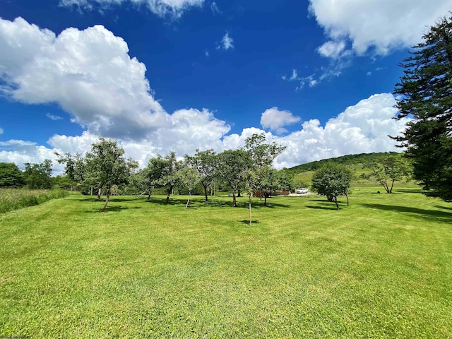 8816 Turkey Bone Rd, Pickens, WV 26230