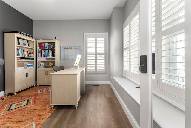 walk in closet featuring wood finished floors