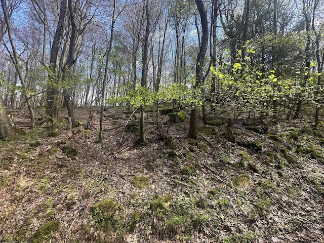 LOT94 Day Lily Cir, Terra Alta, WV 26764
