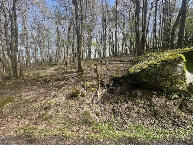 LOT94 Day Lily Cir, Terra Alta, WV 26764