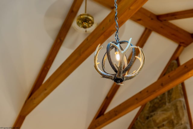 247 Daylily Ct, Terra Alta, WV 26764 - detailed view of beam ceiling