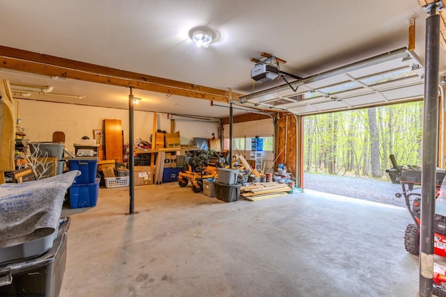 247 Daylily Ct, Terra Alta, WV 26764 - garage featuring a garage door opener