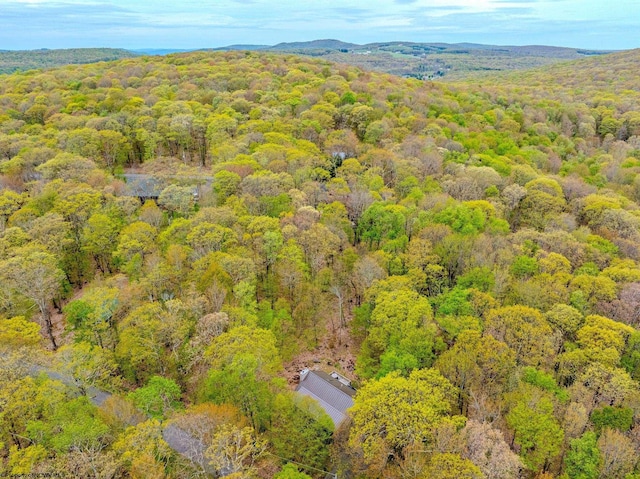 247 Daylily Ct, Terra Alta, WV 26764 - aerial view of a forest
