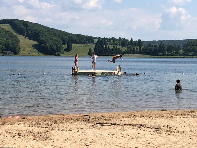 247 Daylily Ct, Terra Alta, WV 26764 - water view with a boat dock