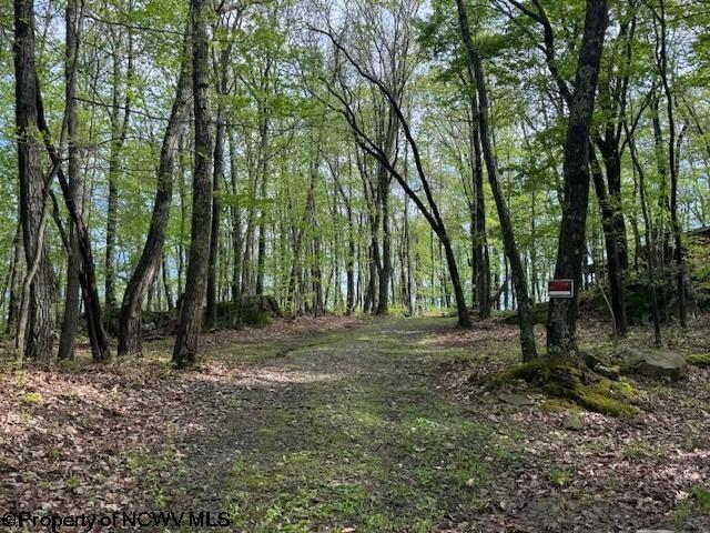 633 Mill Crk, Philippi, WV 26416