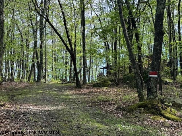 633 Mill Crk, Philippi, WV 26416