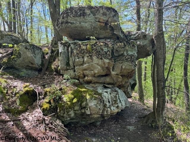 633 Mill Crk, Philippi, WV 26416
