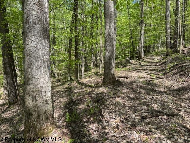 633 Mill Crk, Philippi, WV 26416