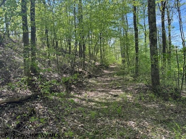 633 Mill Crk, Philippi, WV 26416