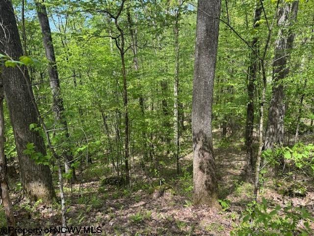 633 Mill Crk, Philippi, WV 26416