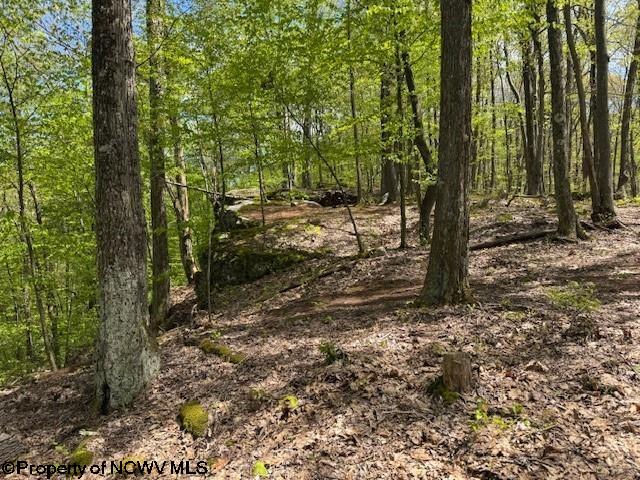 633 Mill Crk, Philippi, WV 26416