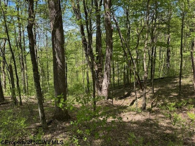 633 Mill Crk, Philippi, WV 26416