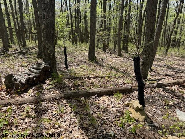 633 Mill Crk, Philippi, WV 26416