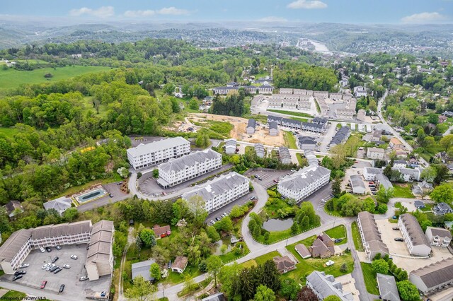drone / aerial view