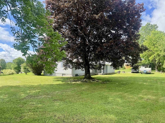 213 Albright Rd, Kingwood, WV 26537 - view of green lawn