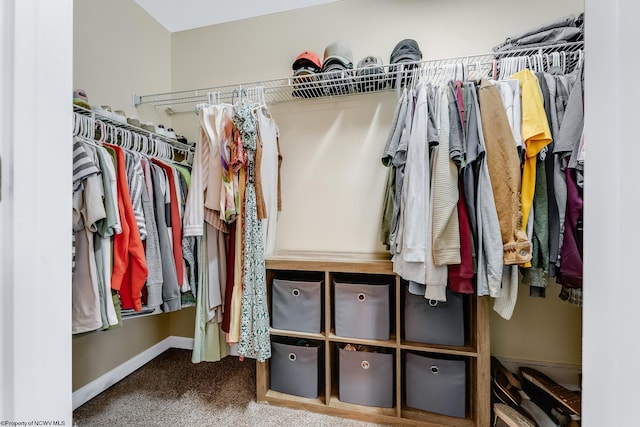 walk in closet with carpet floors