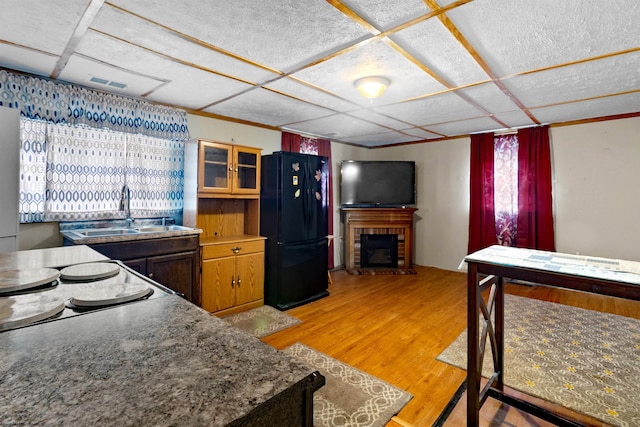107 Orchard St, Masontown, WV 26542 - kitchen featuring freestanding refrigerator, a sink, a fireplace, light wood-style floors, and glass insert cabinets