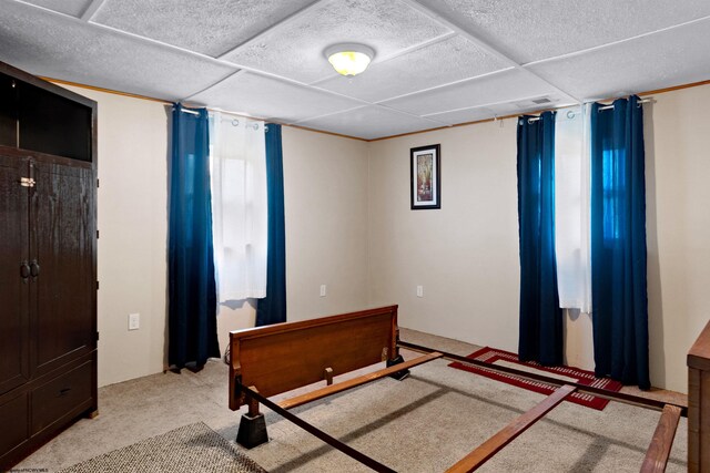 107 Orchard St, Masontown, WV 26542 - bedroom featuring light colored carpet
