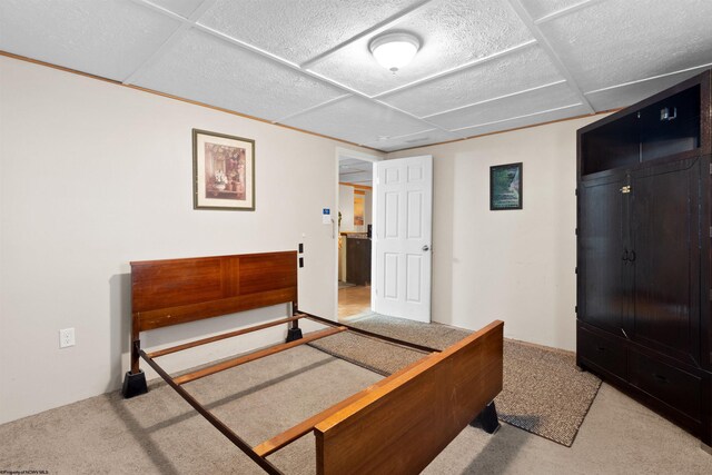 107 Orchard St, Masontown, WV 26542 - view of carpeted bedroom