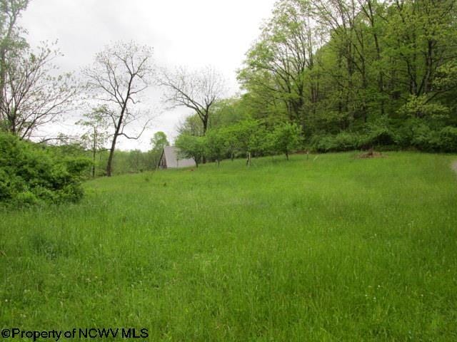 1303 Pheasant Mountain Rd, Kerens, WV 26276 - view of yard