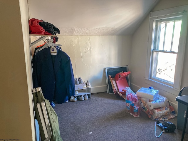 374 Forest Ave Unit 3, Morgantown, WV 26505 - recreation room featuring carpet and lofted ceiling