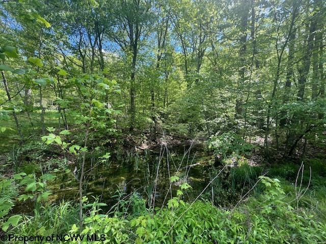 6142 Kanetown Rd, Tunnelton, WV 26444 - view of undeveloped land