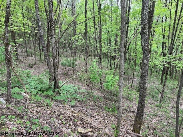 TBD Moyer Hollow Rd, Elkins, WV 26241