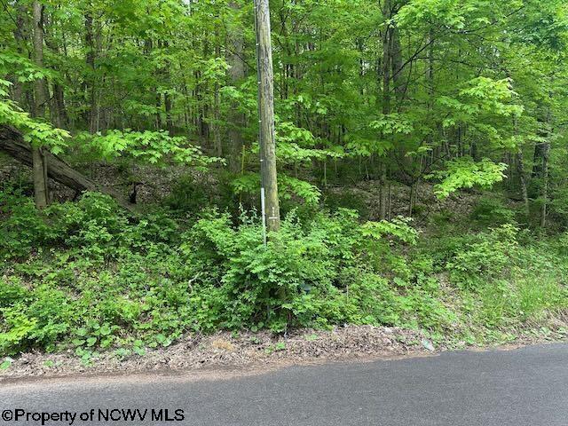 TBD Moyer Hollow Rd, Elkins, WV 26241