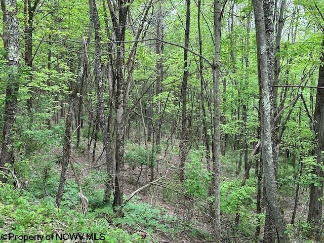 TBD Moyer Hollow Rd, Elkins, WV 26241