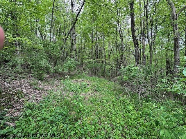 TBD Moyer Hollow Rd, Elkins, WV 26241