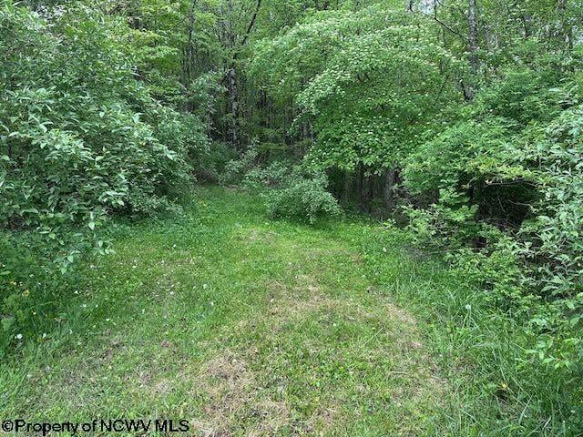 TBD Moyer Hollow Rd, Elkins, WV 26241