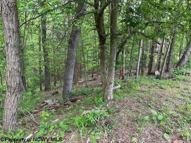 TBD Moyer Hollow Rd, Elkins, WV 26241