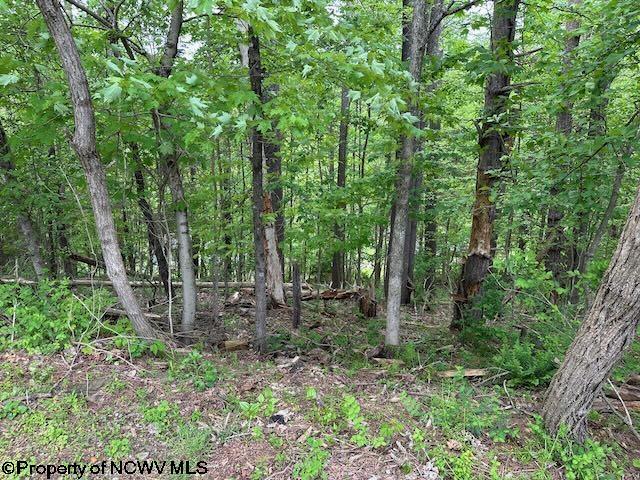 TBD Moyer Hollow Rd, Elkins, WV 26241